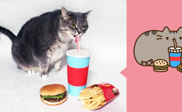 "I Recreated Pusheen Stickers With My Cat"