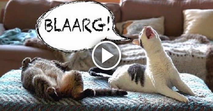 Featured-Strange-Noises-FB