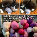 cat-hacks-09