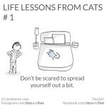 cat-lessons-01