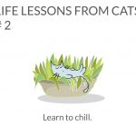 cat-lessons-02