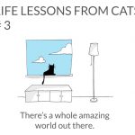 cat-lessons-03