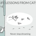 cat-lessons-04