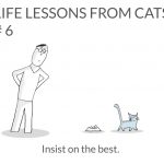 cat-lessons-06