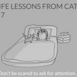 cat-lessons-07