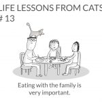 cat-lessons-13