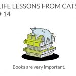 cat-lessons-14