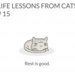 cat-lessons-15