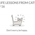 cat-lessons-16