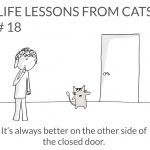 cat-lessons-18