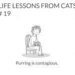 cat-lessons-19