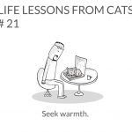 cat-lessons-21