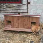 cat-tiny-homes-04