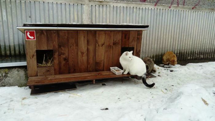 cat-tiny-homes-05