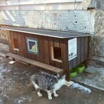 cat-tiny-homes-06