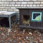 cat-tiny-homes-08