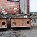 cat-tiny-homes-10