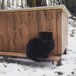 cat-tiny-homes-12