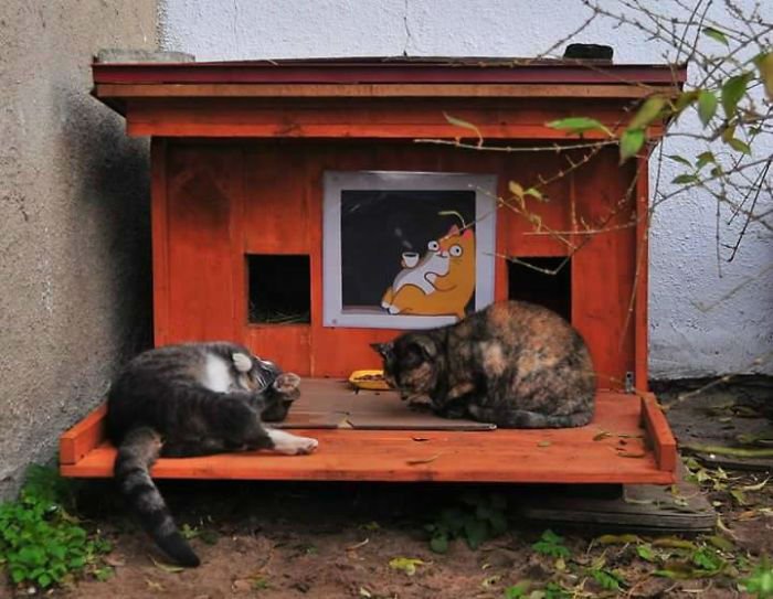 cat-tiny-homes-13