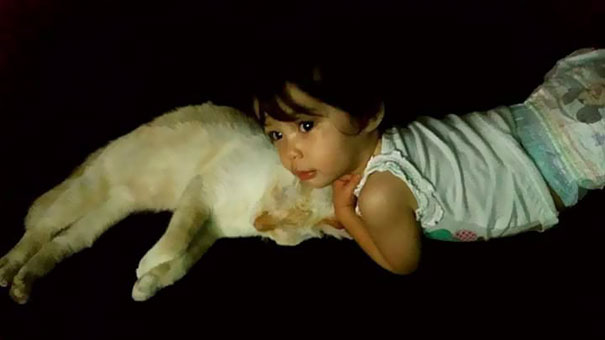 girl-with-kitty-10