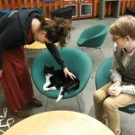 library-cats-08