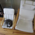 tiny-chair-cats-04