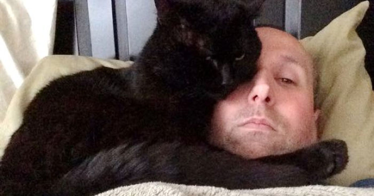 Cat Spent Most of His Life as a Stray Until He Found this Man | Catlov