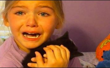Adorable Girl Surprised With Kitten Cries Tears of Pure Joy