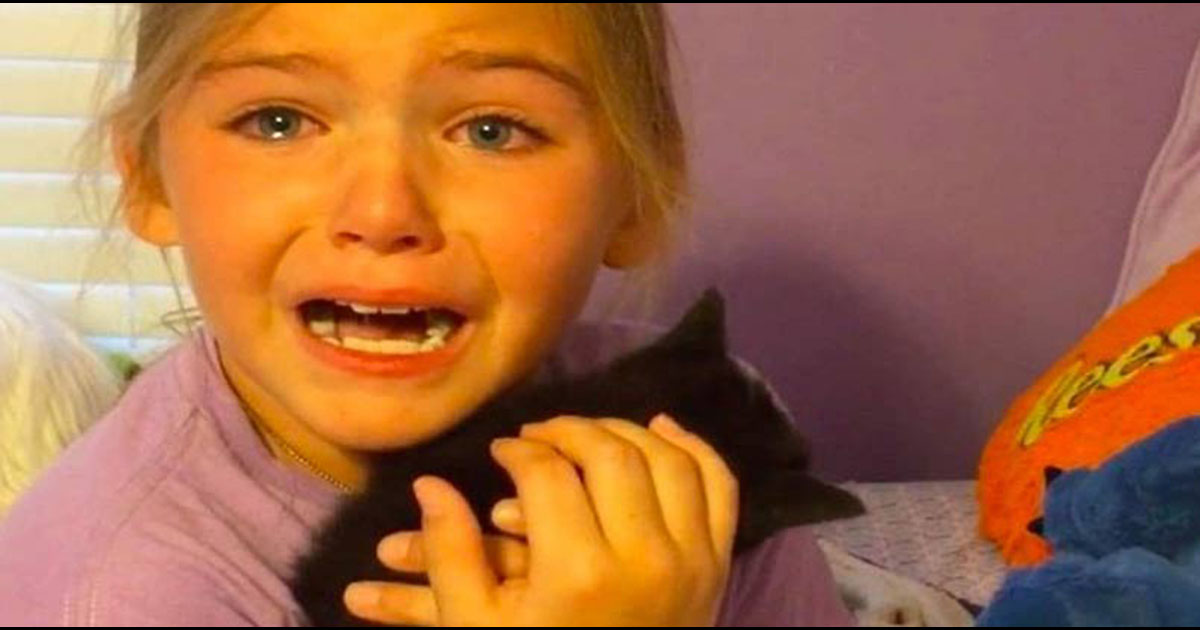 Adorable Girl Surprised With Kitten Cries Tears of Pure Joy | Catlov