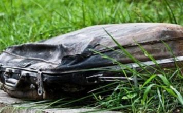 Woman Finds An Abandoned Suitcase In The Park And Makes A Heartbreaking Discovery Inside