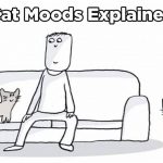 Featured-cat-moods-explained