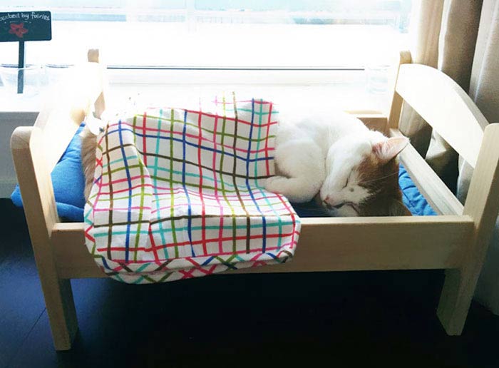 Ikea-Donates-Beds-To-Shelter-3
