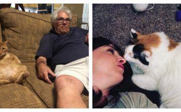 17 Things Only People Who Are "Besties" With Their Cats Will Understand