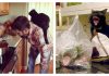 8 Cooking Shows That Cats Would Have On The Food Network