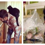 cat-cooking-show-feature