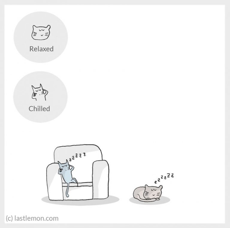 cat-moods-explained-1