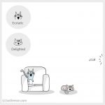 cat-moods-explained-2