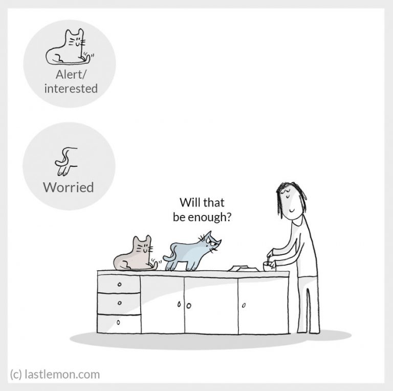 cat-moods-explained-6