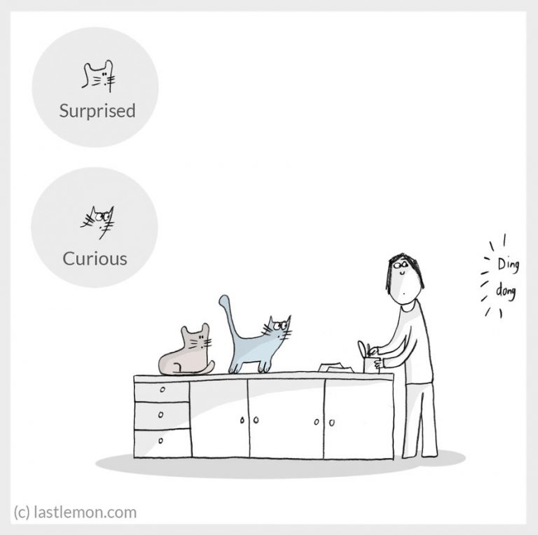 cat-moods-explained-7