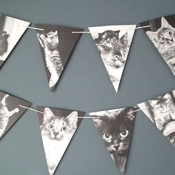 cat-themed-party-05