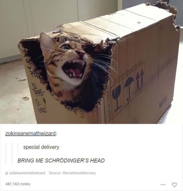 cats-are-actually-demons-14
