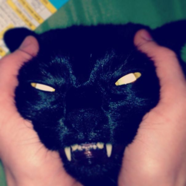 cats-are-actually-demons-28