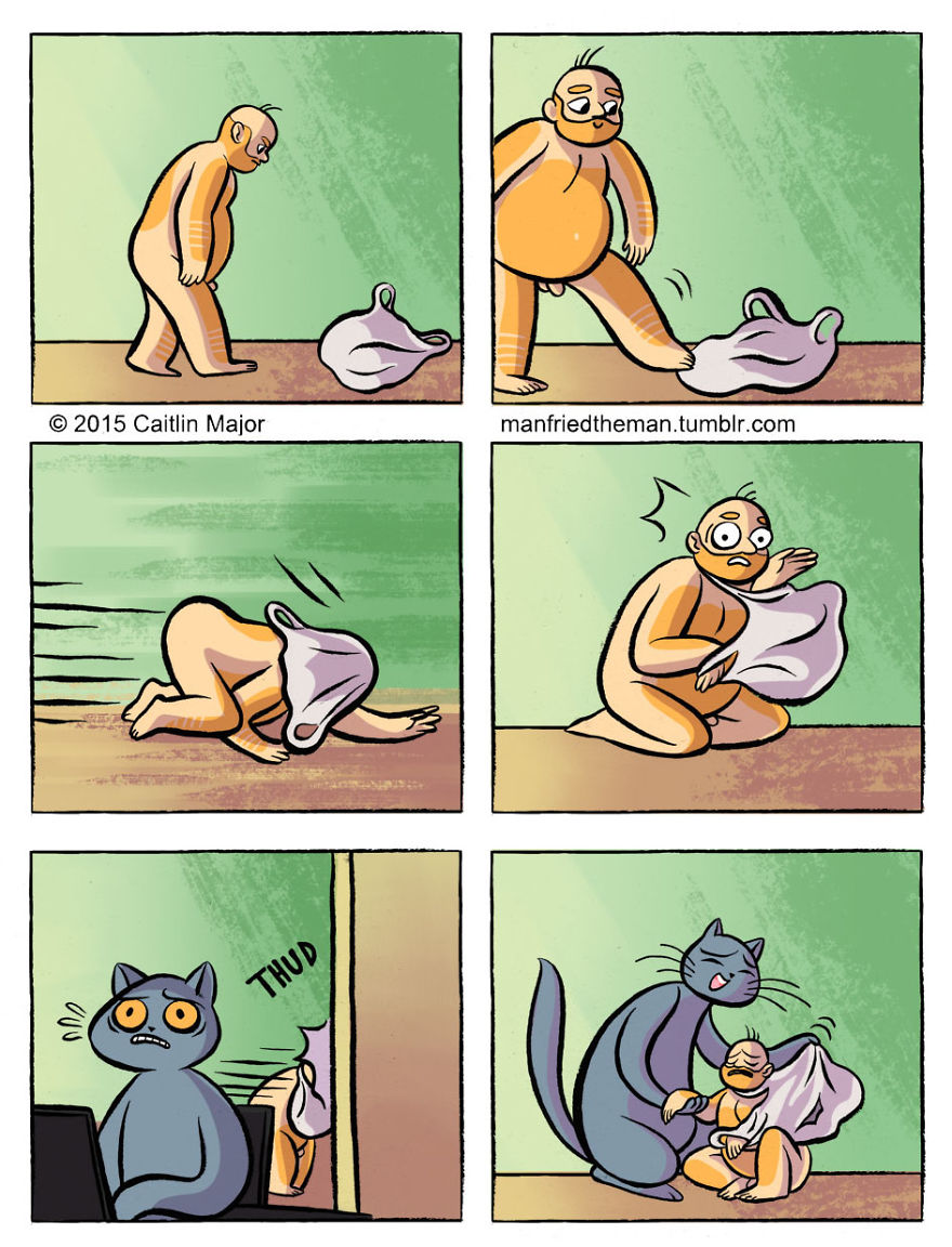 cats-humans-switched-places-5
