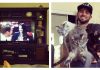 Man Transforms Entertainment Center Into Private Kitty Bathroom Stalls….