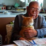 grandpa-cat-01