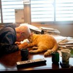 grandpa-cat-03