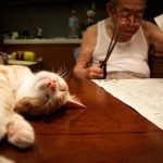 grandpa-cat-08