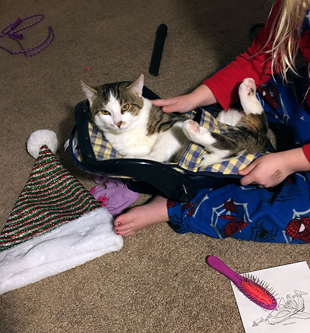 reasons-leave-cat-with-kids-23