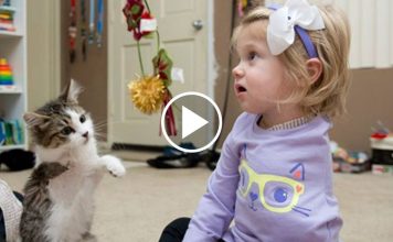 Three-Legged Kitten Meets One-Armed Girl And It's A Beautiful Story