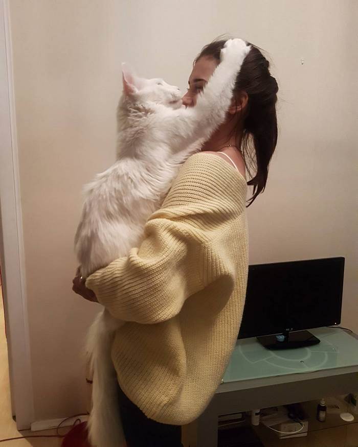 maine-coon-cat-hugs-owner-tihon-4